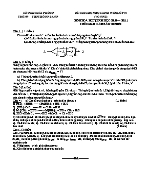 Đề thi chọn học sinh giỏi lớp 10 (vòng II) môn Hoá học (năm học 2010  2011) - Trường THPT Hồng Bàng
